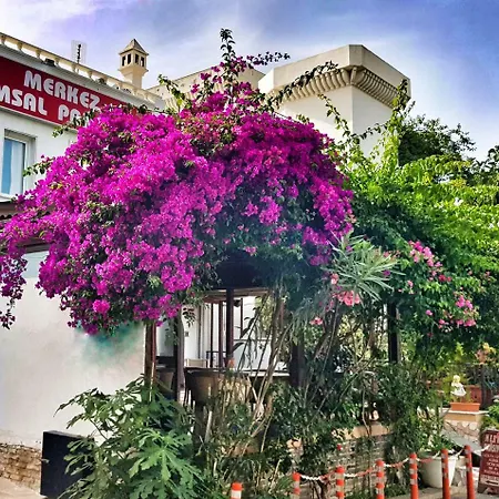 Merkez Kumsal 2*