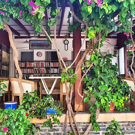 Merkez Kumsal Bed & Breakfast Bodrum